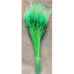 Green Wheat Bundle - Dyed