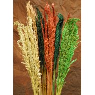 Dried Wild Oats - Decorative