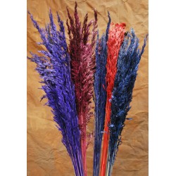 Dried Wild Oats - Decorative