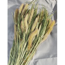 Dried Foxtail Millet