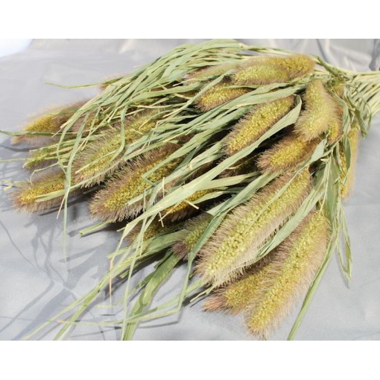 Dried Foxtail Millet