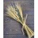 Golden Days of Summer - Wheat and Lavender Bouquet Golden Days of Summer - Wheat and Lavender Bouquet