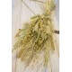 Nature's Best Wheat Bouquet Nature's Best Wheat Bouquet