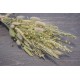 Nature's Best Wheat Bouquet Nature's Best Wheat Bouquet
