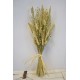 Nature's Best Wheat Bouquet Nature's Best Wheat Bouquet