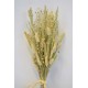 Nature's Best Wheat Bouquet Nature's Best Wheat Bouquet