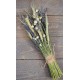 Rustic Farmhouse lavender bunch Rustic Farmhouse lavender bunch
