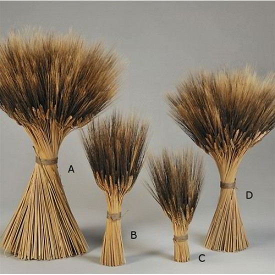Blackbeard Wheat Stacks, Small - Grande Size