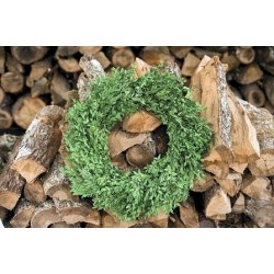 Preserved Boxwood Wreath 22 inch