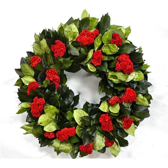 Dried Celosia Flower Wreath