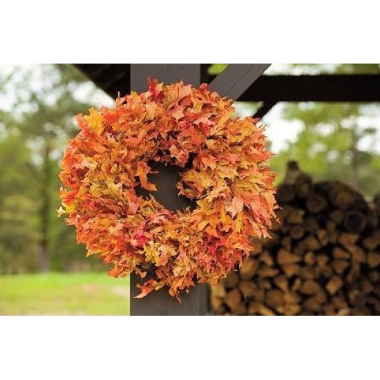 Dried Fall Oak Leaves Wreath Extra Large 26