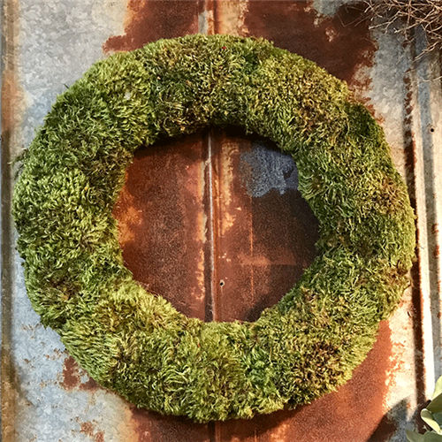 Dried Moss for Sale Decorative Moss Curious Country Creations