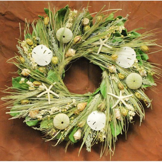 Dried Sand Dollar Seashell Beach Wreath Dried Sand Dollar Seashell Beach Wreath