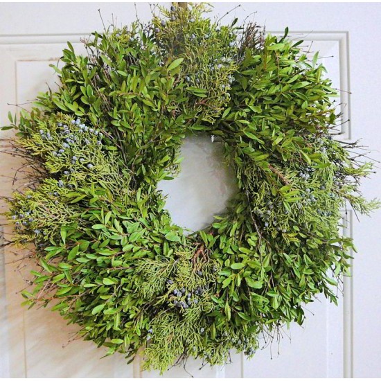 Fresh Juniper/Boxwood Holiday Wreath