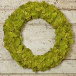 Dried Reindeer Moss Wreath - Green